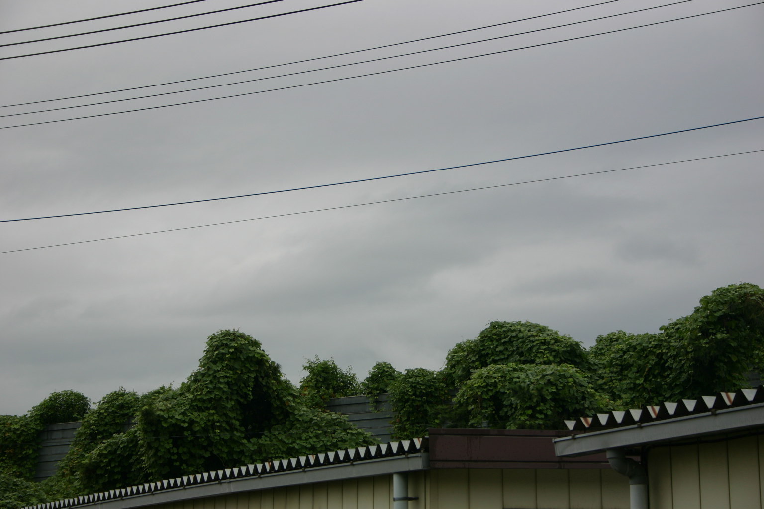 台風９号