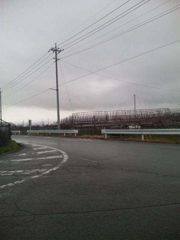 今日は一日、雨になりそうです。