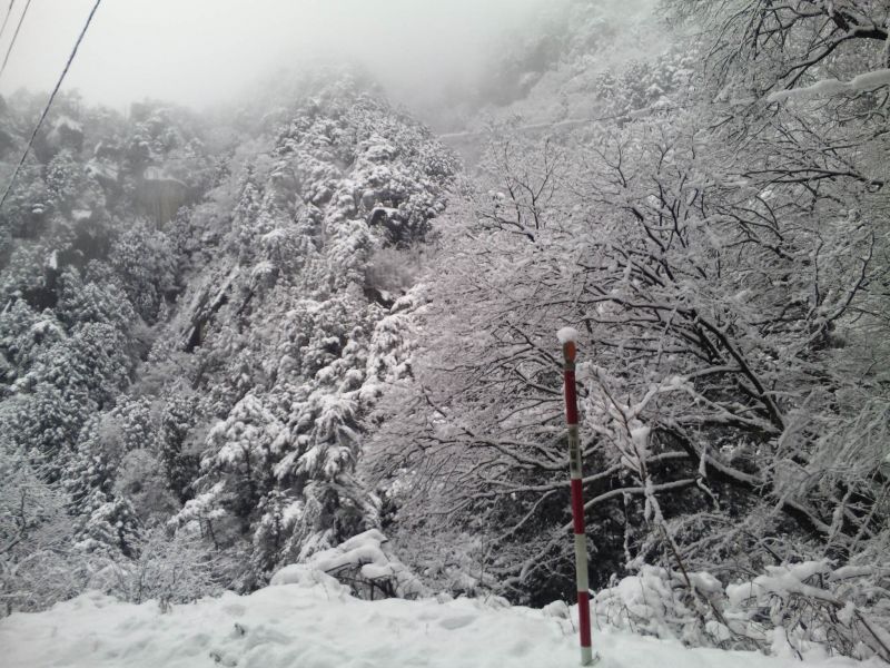 今晩は雪？