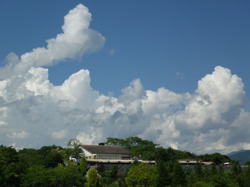 梅雨明けしたと見られる