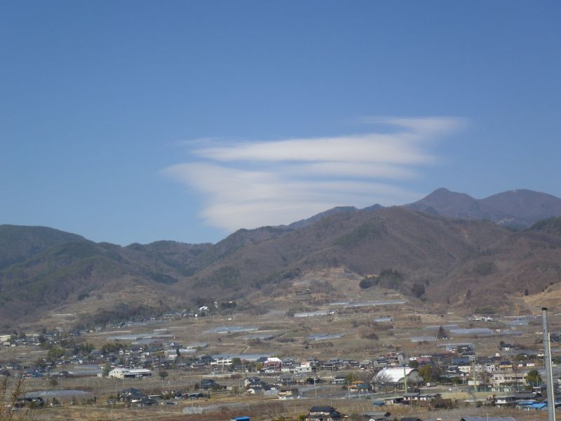 久しぶりの雨でした。