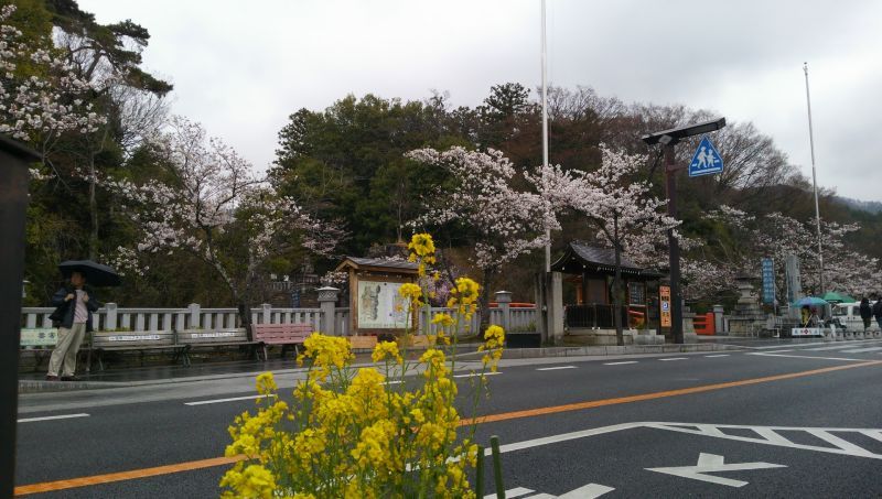信玄公まつり