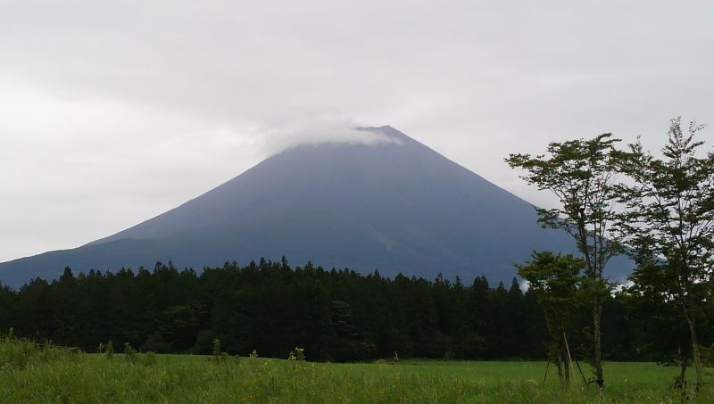 ありがとうございました。