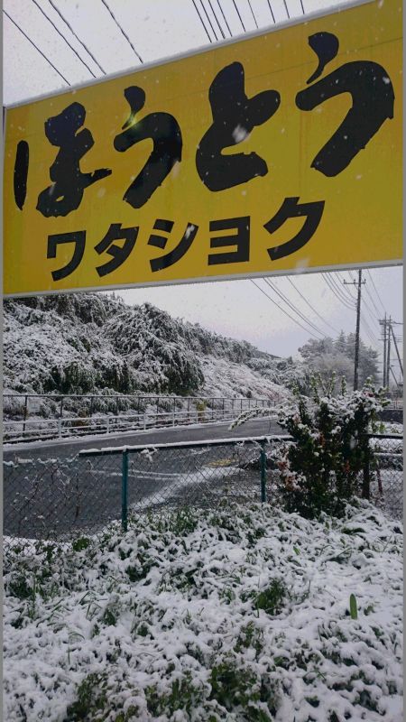 初雪