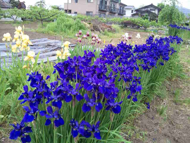 まだまだイベントもあります