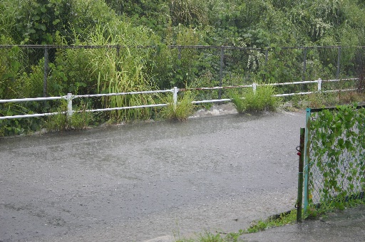 豪雨