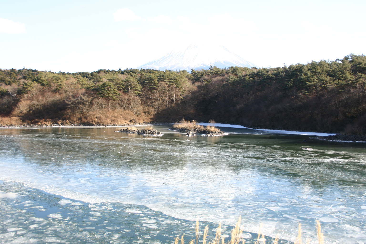 寒の戻り